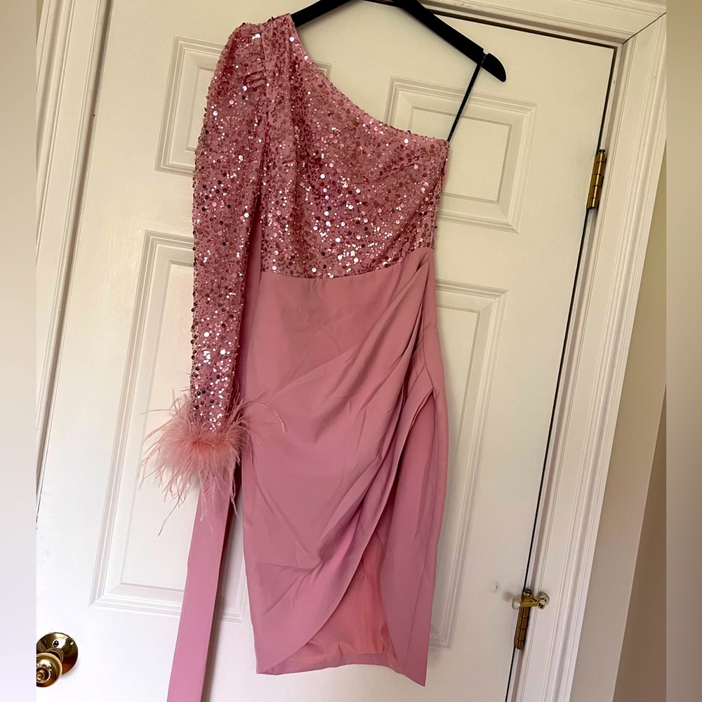 Size 2 Lavish Alice Dress NWT